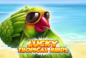 Lucky Tropical Birds